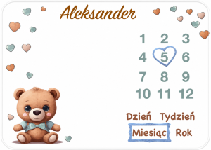 fotokocyk teddy bear z imieniem dziecka poony.png