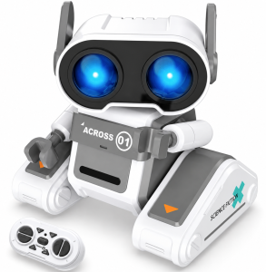 interaktywny robot poony.png