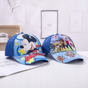 6fae8fdaa5c08bd0b28f145cd30db283