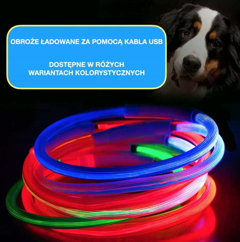 ŚWIECĄCA OBROŻA DLA PSA NA SPACERY SILIKONOWA OBROŻA LED + KABEL USB