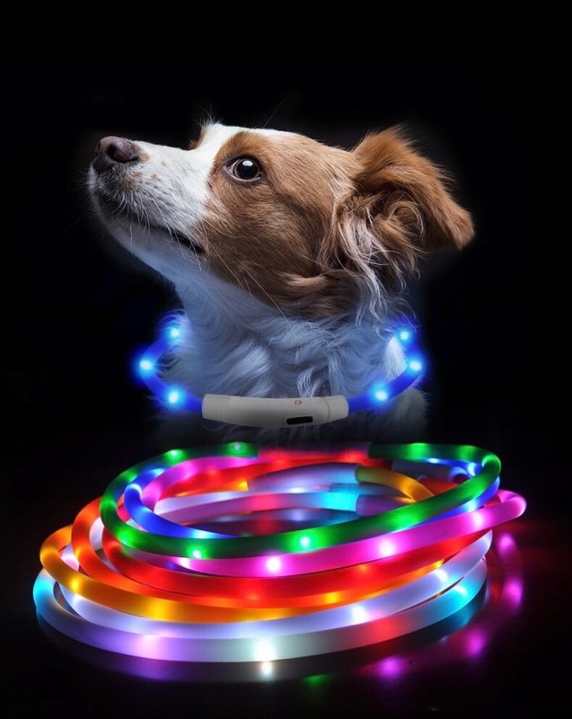 Świecąca obroża dla psa podświetlenie LED wodoodporna + kabel USB