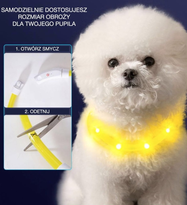 Podświetlana obroża dla psa światełka LED ładowana na USB wodoodporna