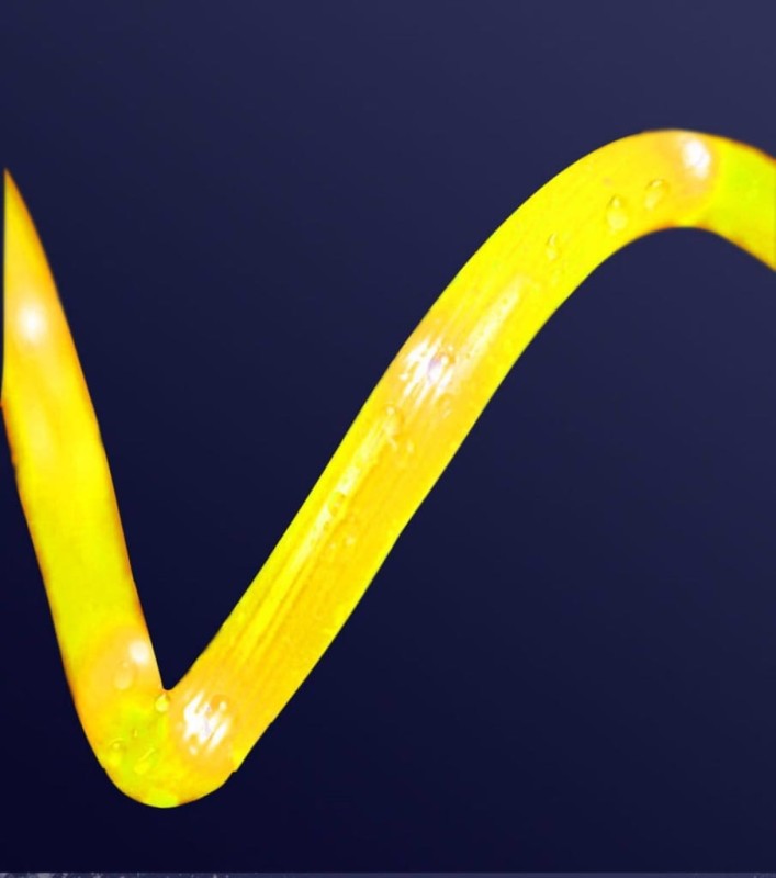 Świecąca obroża dla psa LED z możliwością regulacji rozmiaru