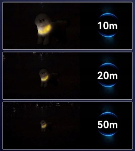 Świecąca obroża dla psa LED z możliwością regulacji rozmiaru